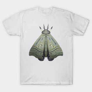 Graphic Moth Sketch Artwork T-Shirt